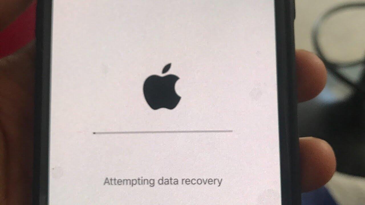 Recovering Your Data