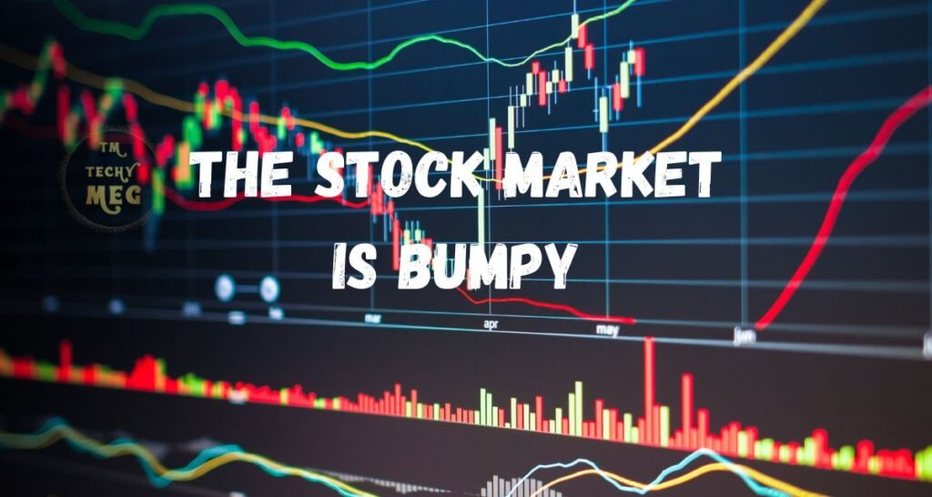 The Stock Market is Bumpy